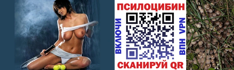 Псилоцибиновые грибы MAGIC MUSHROOMS  сайты даркнета телеграм  Калач-на-Дону 